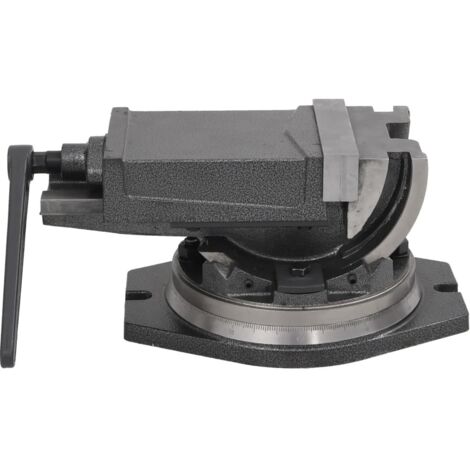 Étau inclinable à 2 axes 160 mm CFW692878