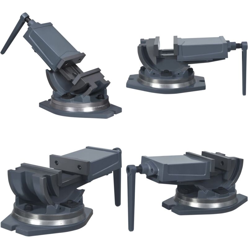 Vidaxl - tau inclinable à 2 axes 160 mm - étau - 'étaux - Home & Living