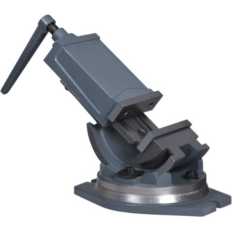 Étau inclinable à 2 axes 160 mm - The Living Store