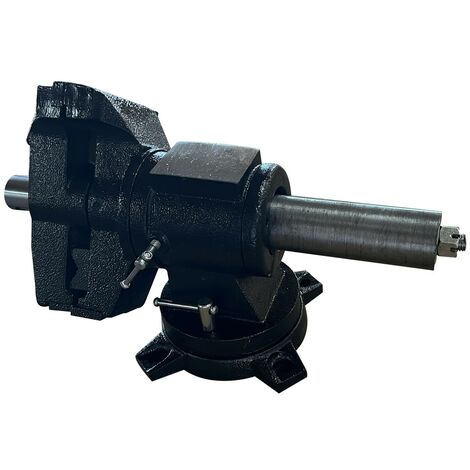 Étau polyvalent cylindrique avec base et mâchoire pivotantes mors 125 mm