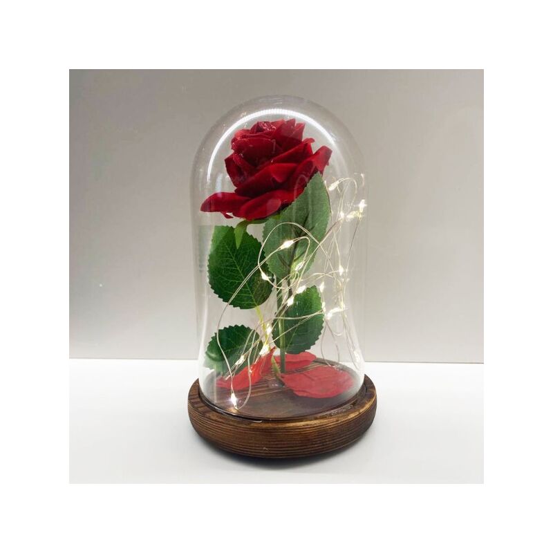 Verzauberte Rose Die Schöne Und Das Biest Preisvergleich für Verzauberte ewige Rose Die Schöne und das Biest in