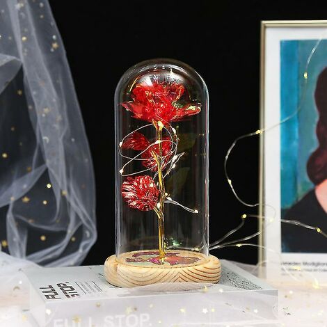 Eternal Roses Beauty And Animal Rose Kit In Glass Dome LED Lights Künstliche Blumen Rose Geschenke für Frauen Mama Geschenk