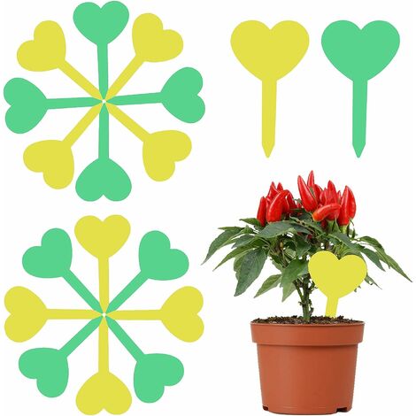 Healifty 50pcs Tag vegetali Giardino in Legno Etichette Nursery Garden Markers per Fiori e Piante Decorazioni per la casa Bianco 