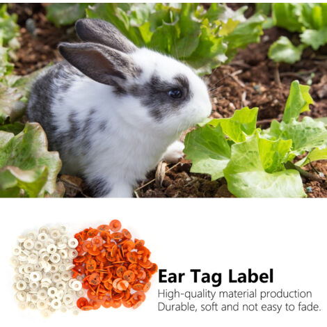 Etiquetas numeradas para orejas de animales pequeños – 100 unidades, plástico resistente, 1,75 cm – identificación para animales de granja, conejos, zorros y visones.