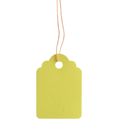 【Etiquetas para plantas】 Etiquetas de PVC reutilizables e impermeables, 3,6 x 2,5 cm, 300 unidades, marcadores de flores, cordel de jardín de fibra de polímero