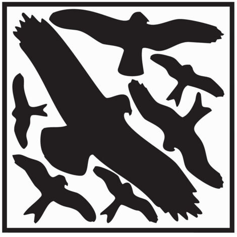 Étiquette autocollante L290xl320 mm kit protection oiseux picto d'oiseaux film autocollant