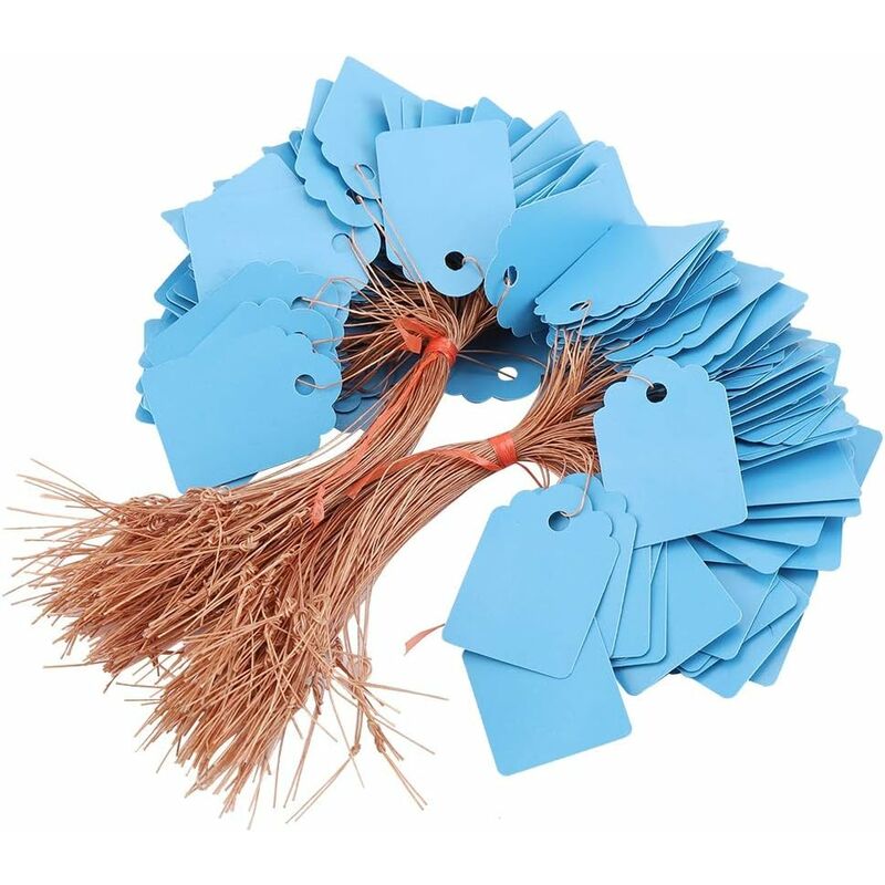 Memkey - tiquette de Fleur suspendue-200 pièces pvc Plante de Fleur Suspendue nom de Graine étiquette étiquette marqueur Signe extérieur(Bleu)