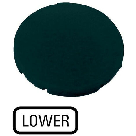 Étiquette plate noire LOWER EATON M22-XD-S-GB18