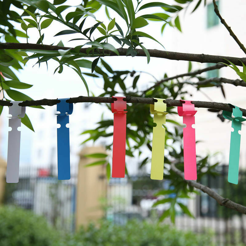 Fontainebleau - Etiquettes de Plantes,Plastique Marqueur de Jardin Imperméables Plante Tag Suspendues pour Plateaux de Graines Herbe Arbres Gardening
