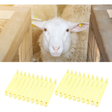 Étiquettes d'oreille PA6 pour bétail - Étiquettes colorées résistantes 7,3cm (20 pièces)