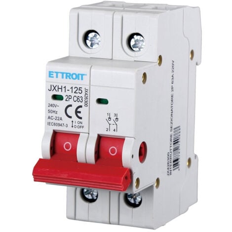 ETTROIT interrupteur-sectionneur 2P 63A 220V JX426300