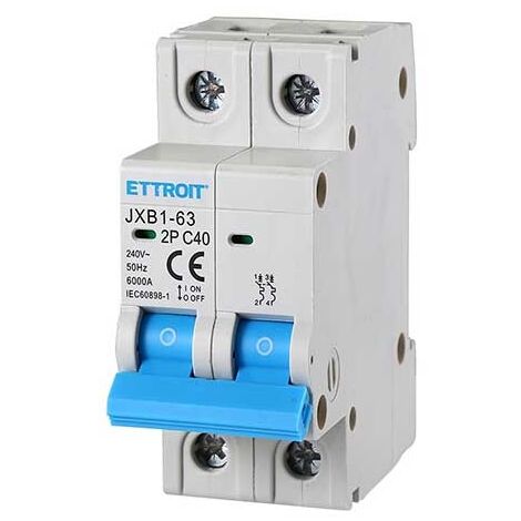 ETTROIT Interruttore magnetotermico automatico 2P 40A 220V 2 Moduli DIN JX124060