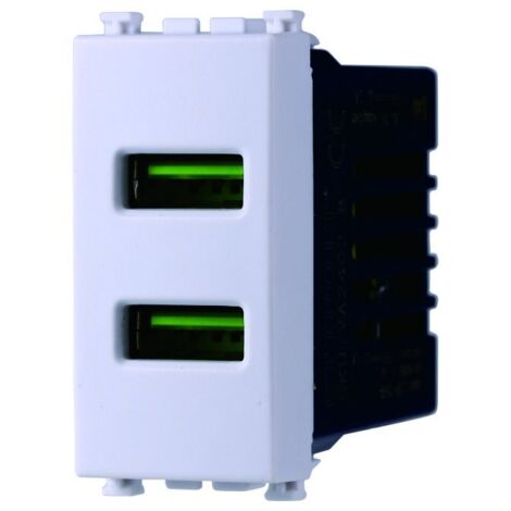 ETTROIT Presa USB Caricatore USB 5V 2,1A 2 Porte USB-A Colore Bianco Compatibile Con Vimar Arke VA2402B