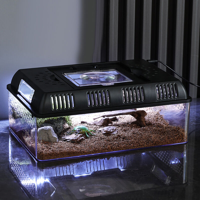 Lunsy - tui de boîte d'élevage de tortues avec lumière led alimentation de conteneur d'éclosion Terrarium de Reptile pour insectes d'alimentation