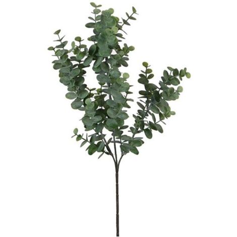 EUCALIPTO COLOR VERDE 65cm
