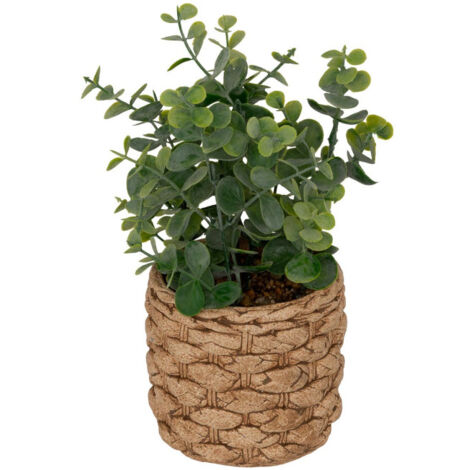Eucalyptus Artificiel en Pot "Jaye" 27cm Vert