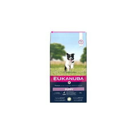 Eukanuba Puppy & Junior Small/Medium Lamb & Rice WITH A HINT - 729794