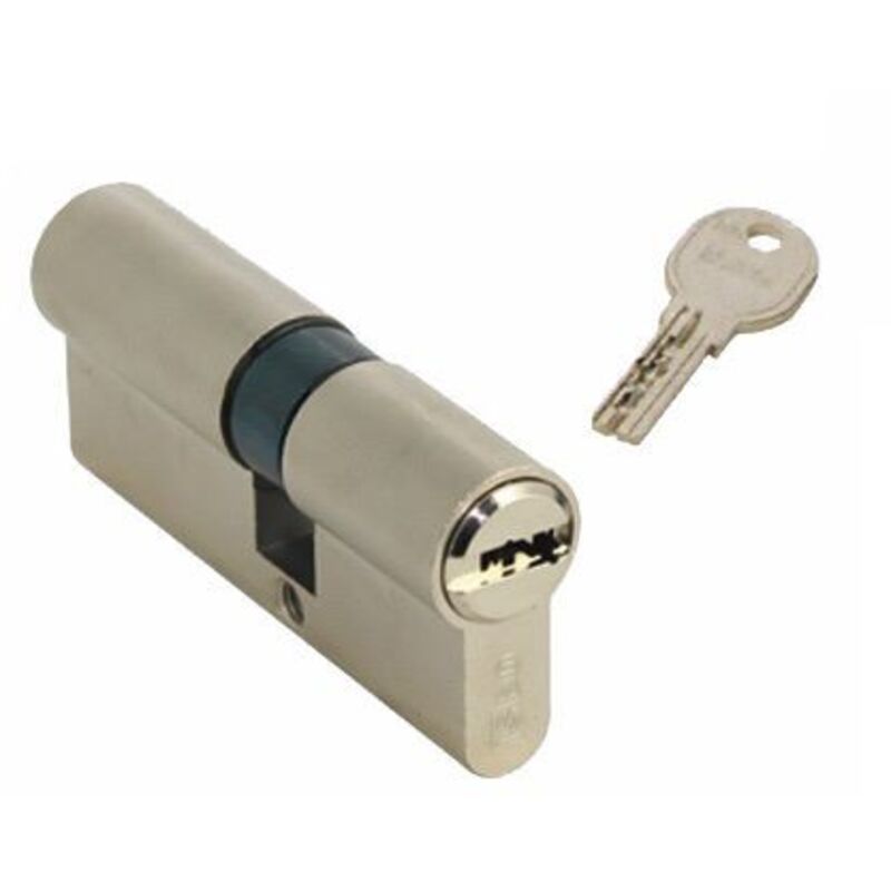 Capaldo - europäischer ISEO-DOPPELPROFIL-R6-ZYLINDER mit R6-FLACHSCHLÜSSEL 30-30 mm