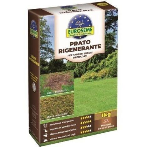 EUROSEME RIGENERANTE 1000 G
