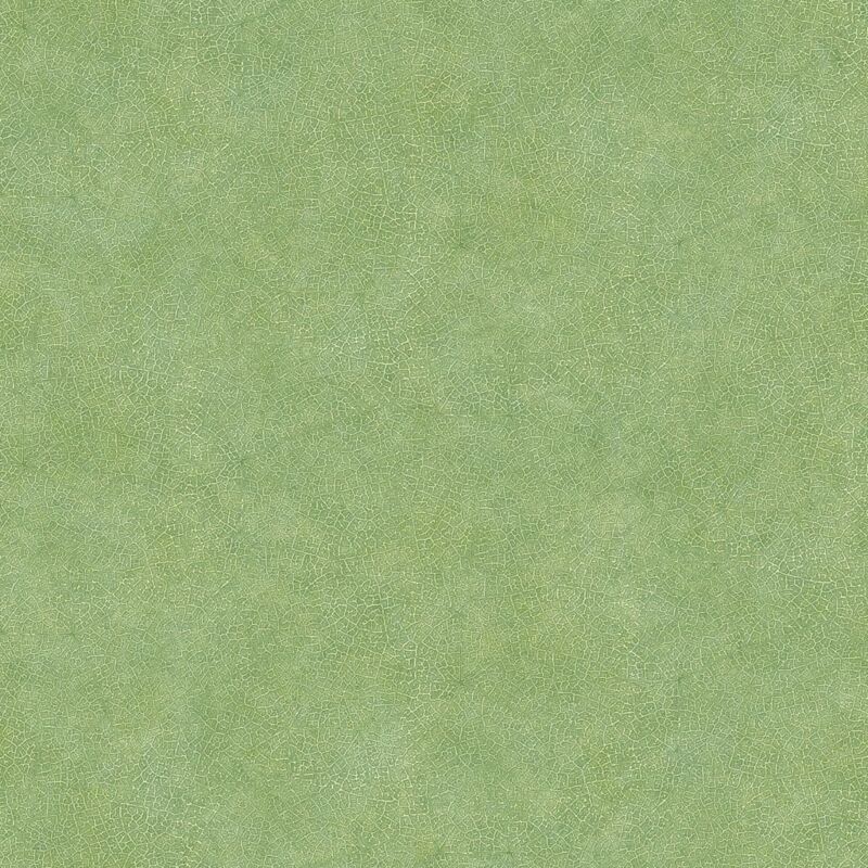 

Papel pintado Leaf Veins verde - Verde - Evergreen