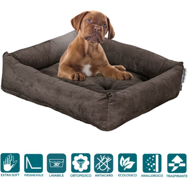 Evergreenweb - Letto per Cani 45x65 cm Taglia Piccola, Imbottitura in Schiuma Waterfoam Morbido Lavabile in Lavatrice, Cuccia da Interno con Cuscino