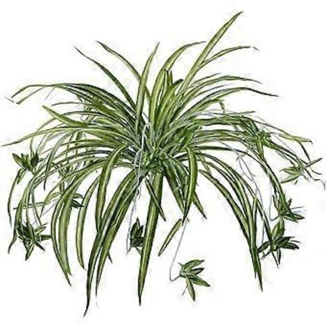 Everlasting Greenery, lot de 2 plantes araignées artificielles suspendues, feuilles en soie et tiges en métal, aspect réaliste pour la maison, l'hôtel, un mariage, le bureau.