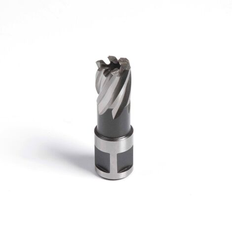 Evolution Short Series x mm, 12 x 25 mm, 19S