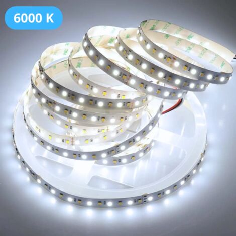 Evotrade Bande LED 24V 12W/m 60 LED/m -Découpable tous 50mm Haute Luminosité Longue Durée Lumière Froid 6000K