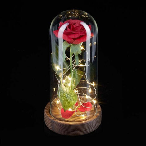 Ewige rose im glas mit kerze