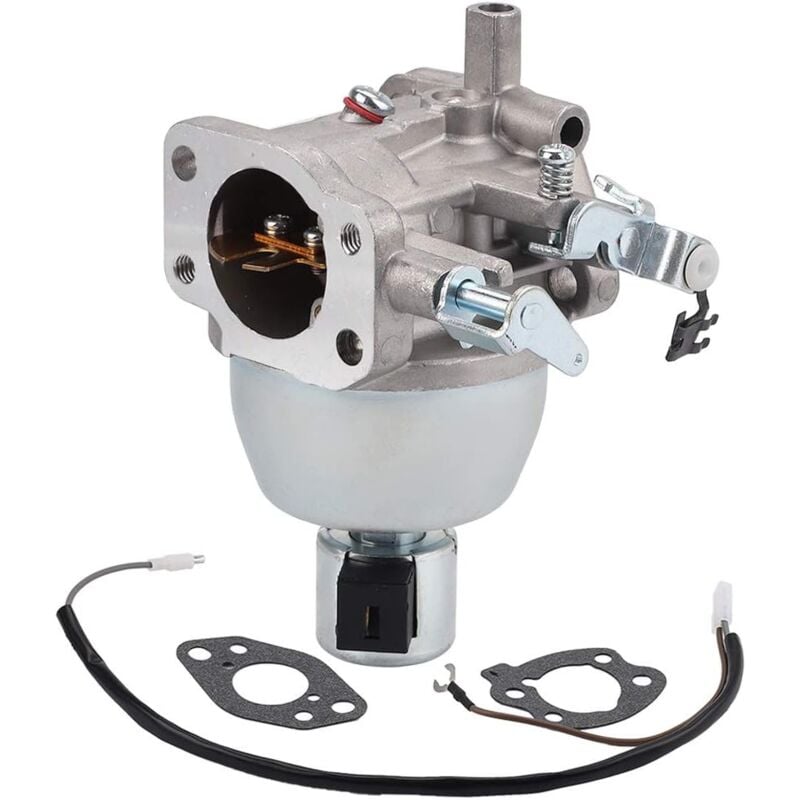 Ewillownm Compatible avec carburateur 847395 pour BS 846280 808725 846944 350772-0045-01 350772-0102-01 350776-0046-02