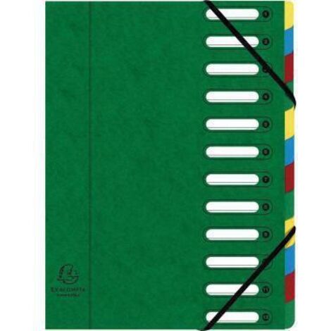 Exacompta Ordnungsmappe Harmonika 55123E DIN A4 12Fächer grün