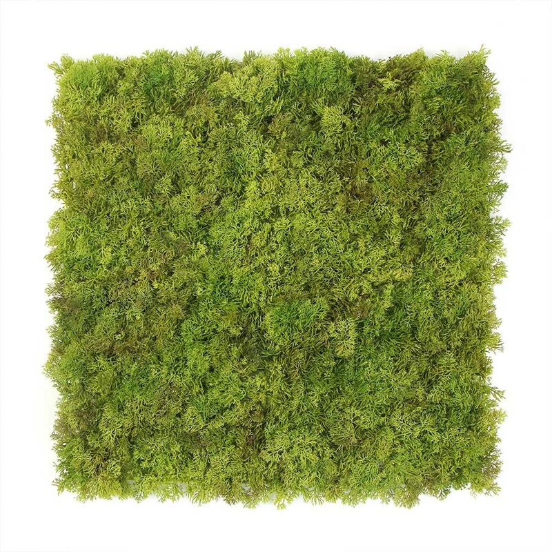Mur végétal artificiel Mousse - 1m x 1m Exelgreen