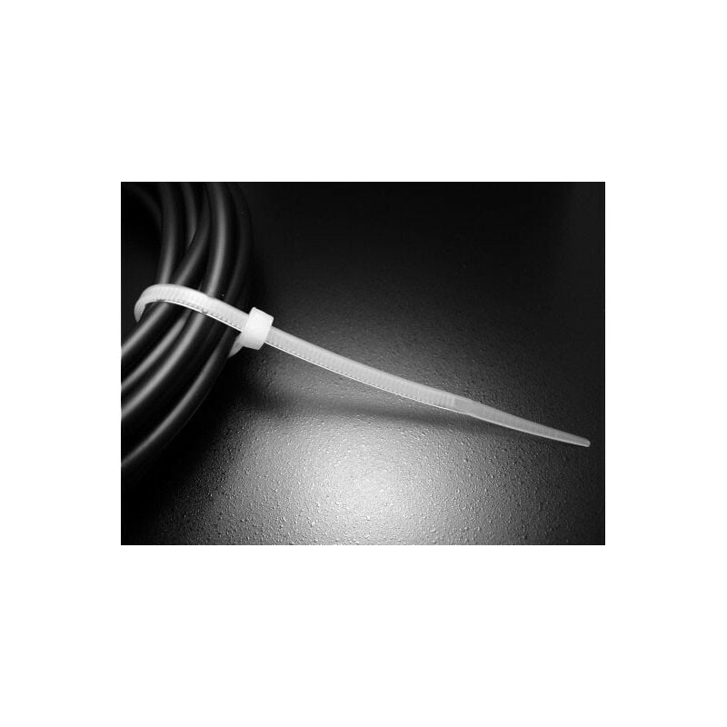 Exertis Connect - Serre câble - 100 mm par 1000 (180160)