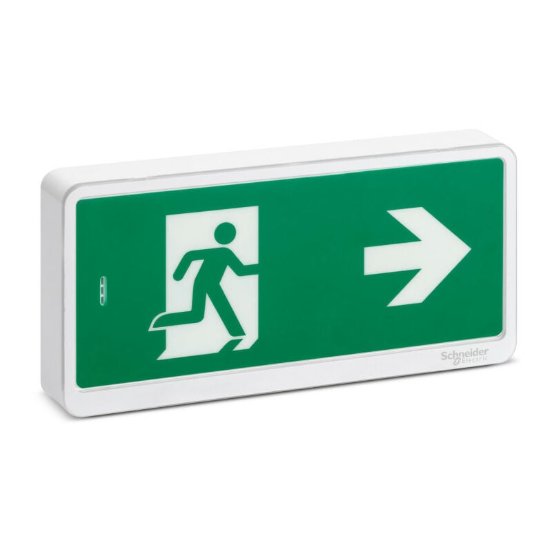 Schneider Electric - Exiway Light Bloc de secours Evacuation IP65 sati (OVA59111)