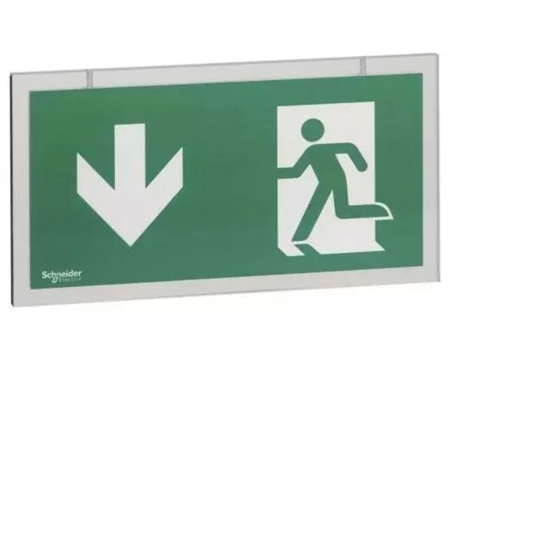 Schneider Electric - Schneider OVA59822 Accessoire drapeau pour OVA59100 Exiway smart