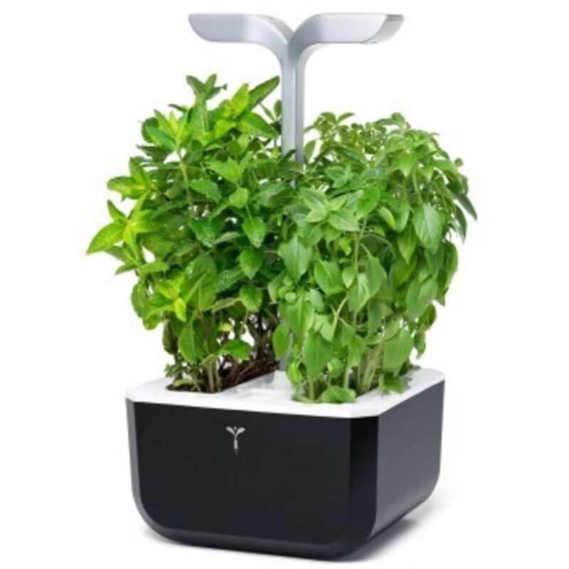 Véritable - Potager de cuisine - Exky Smart soft black + 2 Lingots