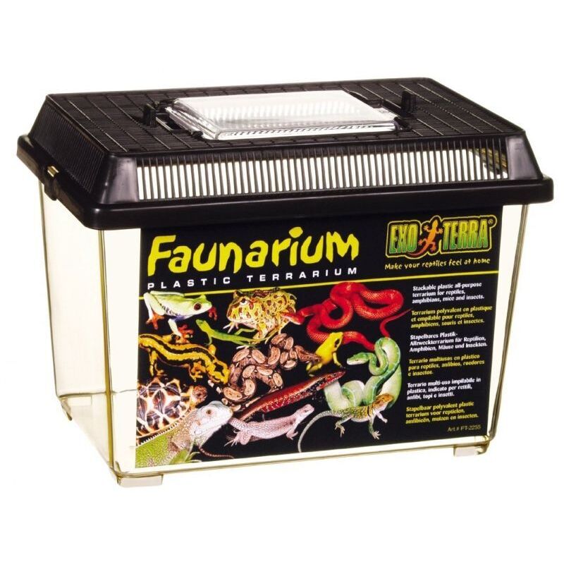 Faunarium petit 23X15X16,5 cm Exo Terra PT2255