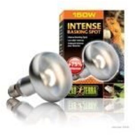 Exo lampe intense a vis 150w
