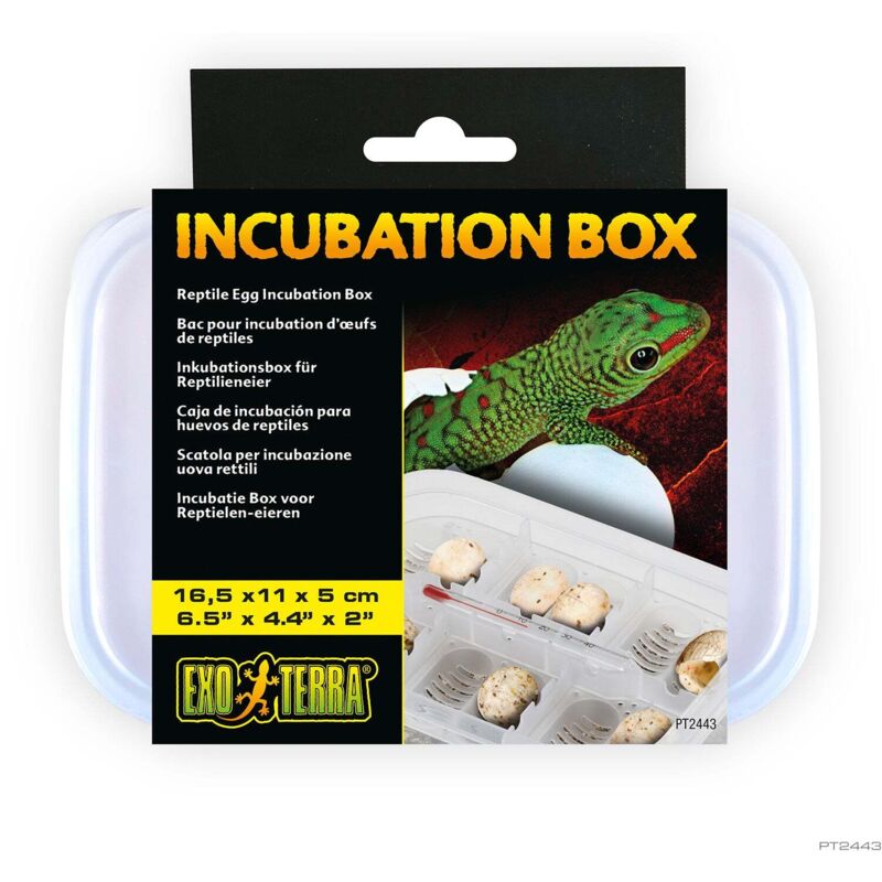 

Exo Terra caja de incubaci�n