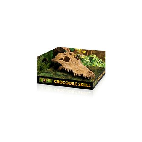Exo Terra Crocodile Skull