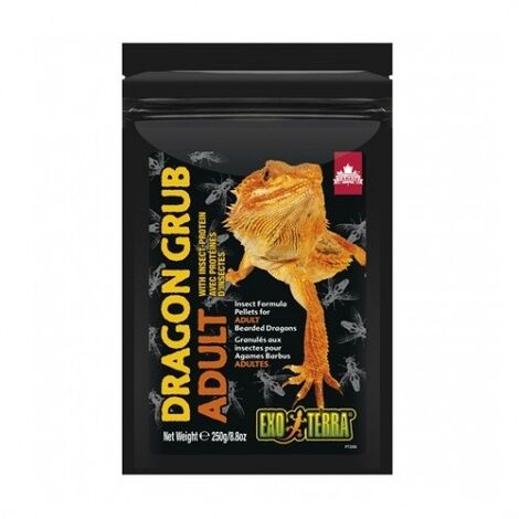 Exo Terra Dragon Grub Erwachsener, 250 g