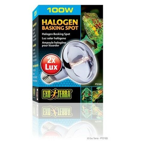 EXO Terra Halogen -Beinspot 100 W.