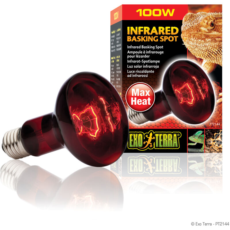 

Exo Terra heat glo infra-rojo nocturno 100 w