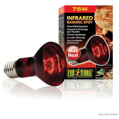EXO Terra infrarouge SPOT 75 W