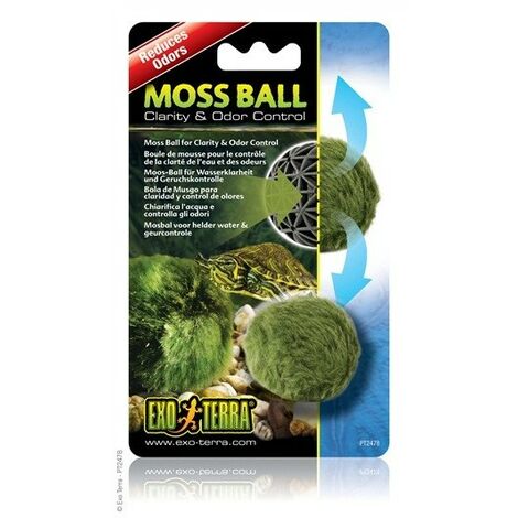 Exo Terra Moss Ball