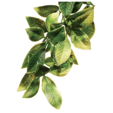 Exo Terra Plant Plantica Mandarin S.
