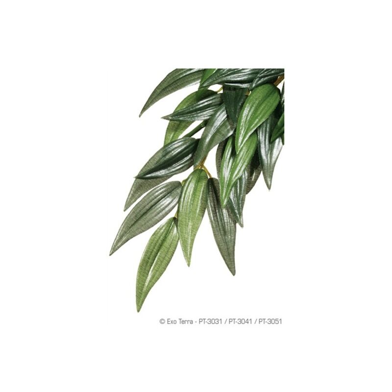 

Exo Terra planta de seda Rucus gde.