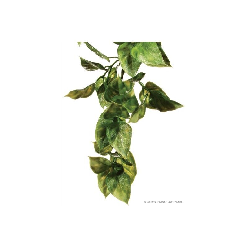 

Exo Terra planta pl�stica Ampallo peq.