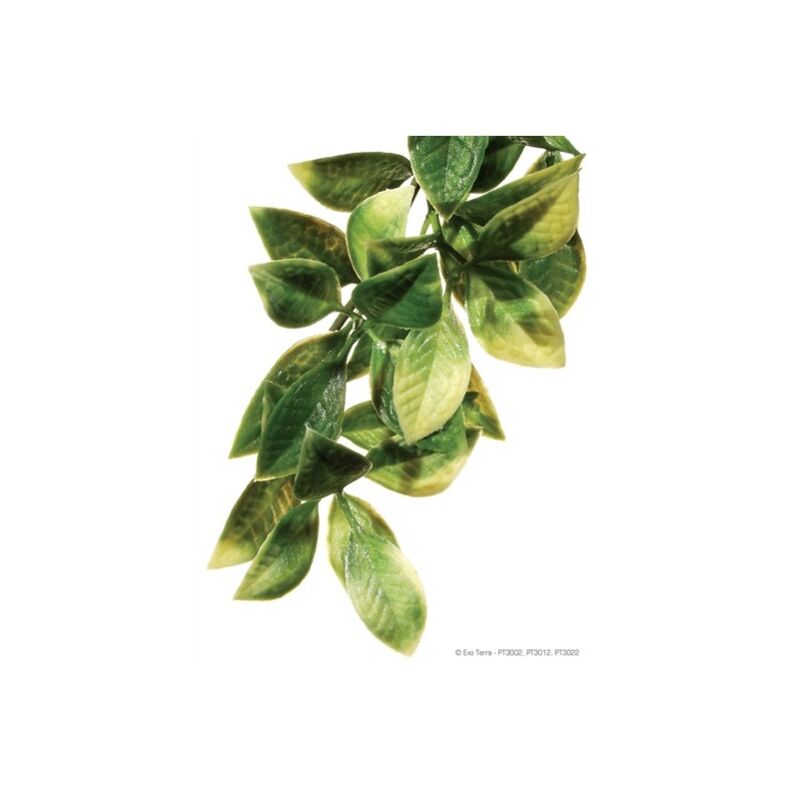 

Exo Terra planta pl�stica Mandarin peq.