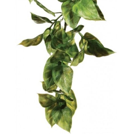 Exo Terra PlÕstica Planta Ampallo S.